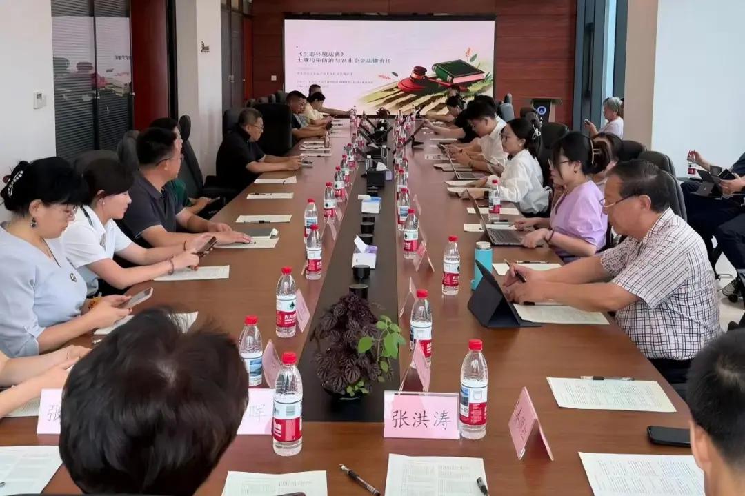 图片8